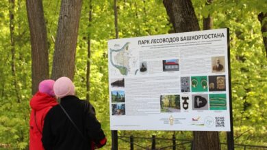 Photo of Как обустроить зону для фитнеса в бане